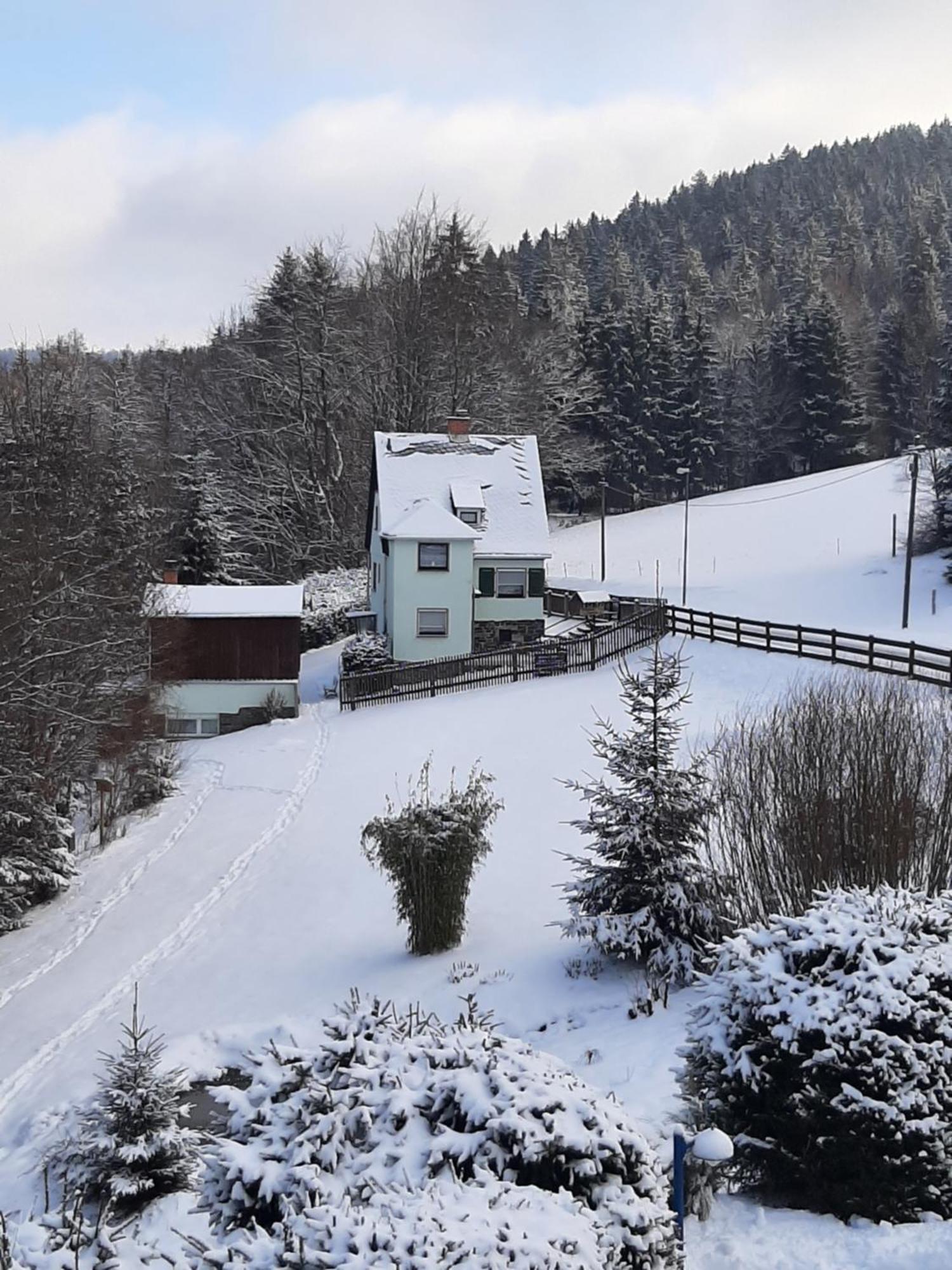 Ferienhaus Rosemarie Erlbach Vogtland Extérieur photo