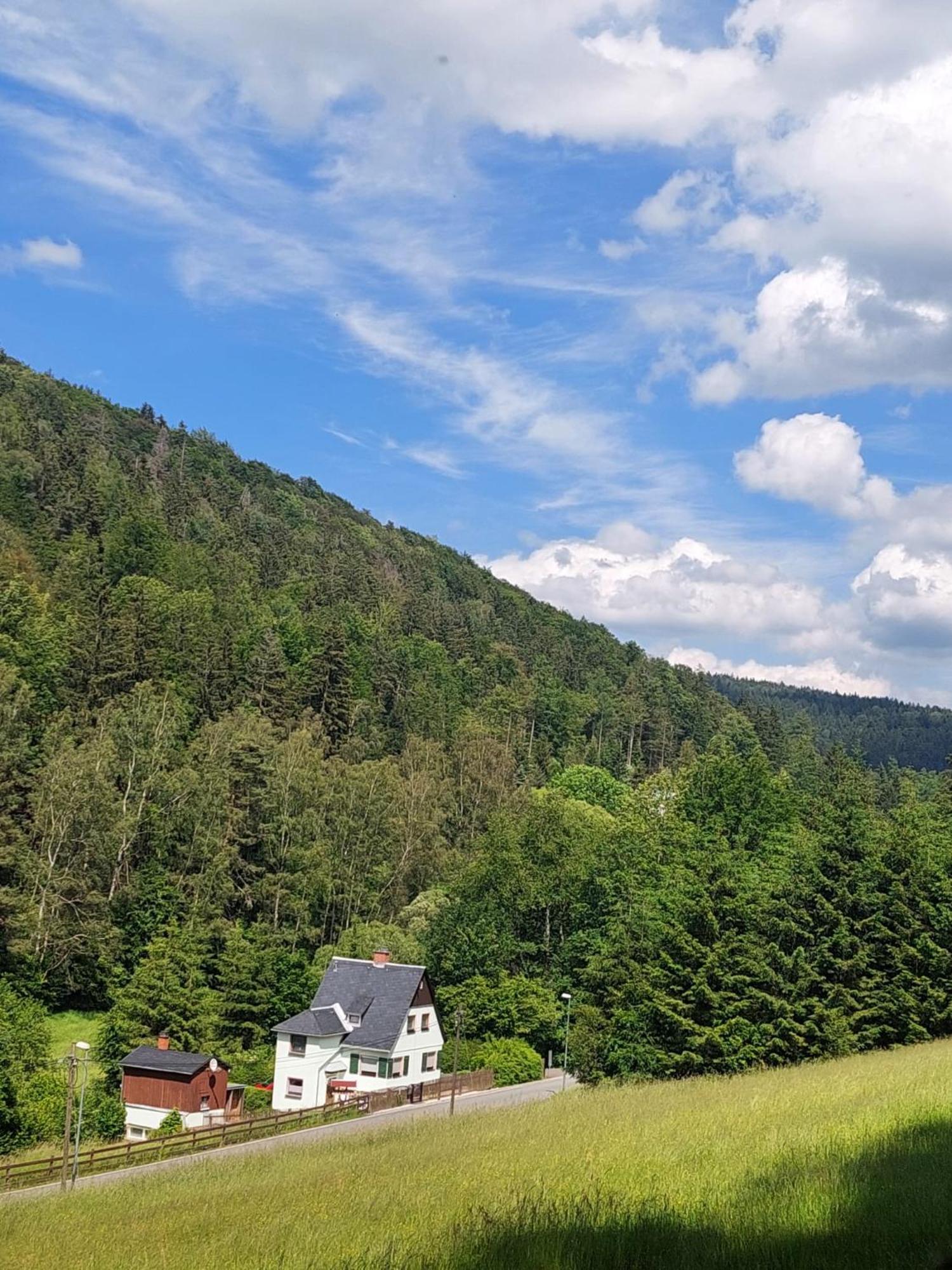 Ferienhaus Rosemarie Erlbach Vogtland Extérieur photo